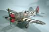 p47d_small.jpg