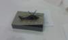 imag0413_small.jpg