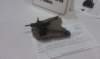 imag0451_small.jpg