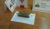 imag0460_small.jpg