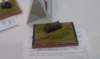 imag0522_small.jpg