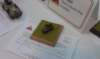 imag0523_small.jpg