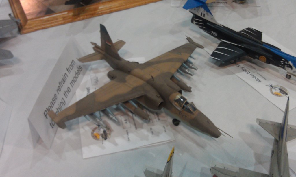 imag0543.jpg