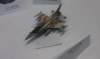 imag0556_small.jpg